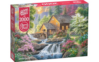 50019
