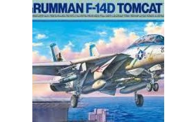 F-14D Tomcate